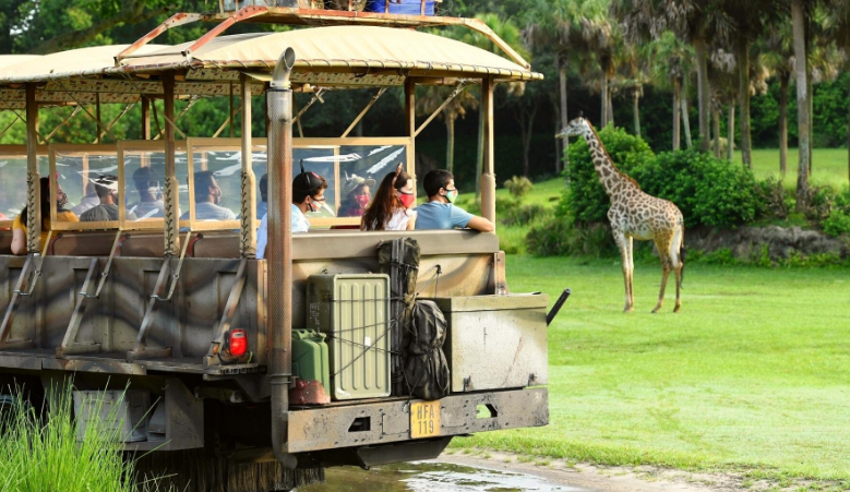 Los mejores 5 Zoológicos en Orlando