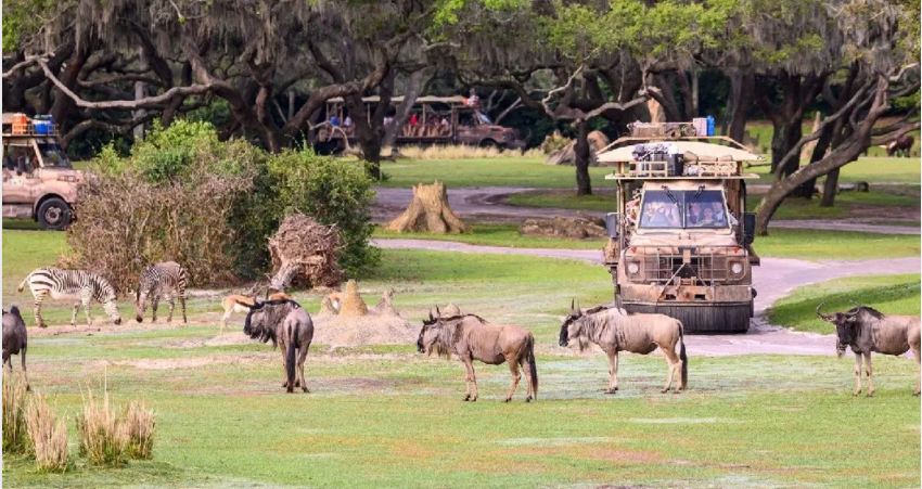 zoologicos-para-visitar-en-orlando