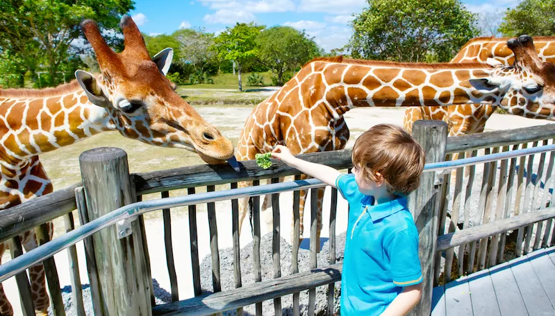 Zoológicos para Visitar en Orlando