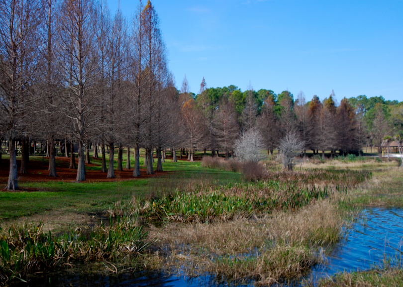 parques-publicos-de-orlando