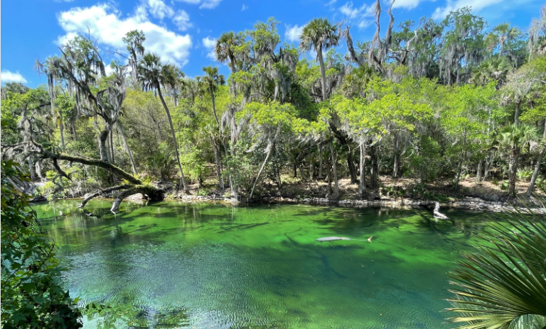 manantiales-en-orlando